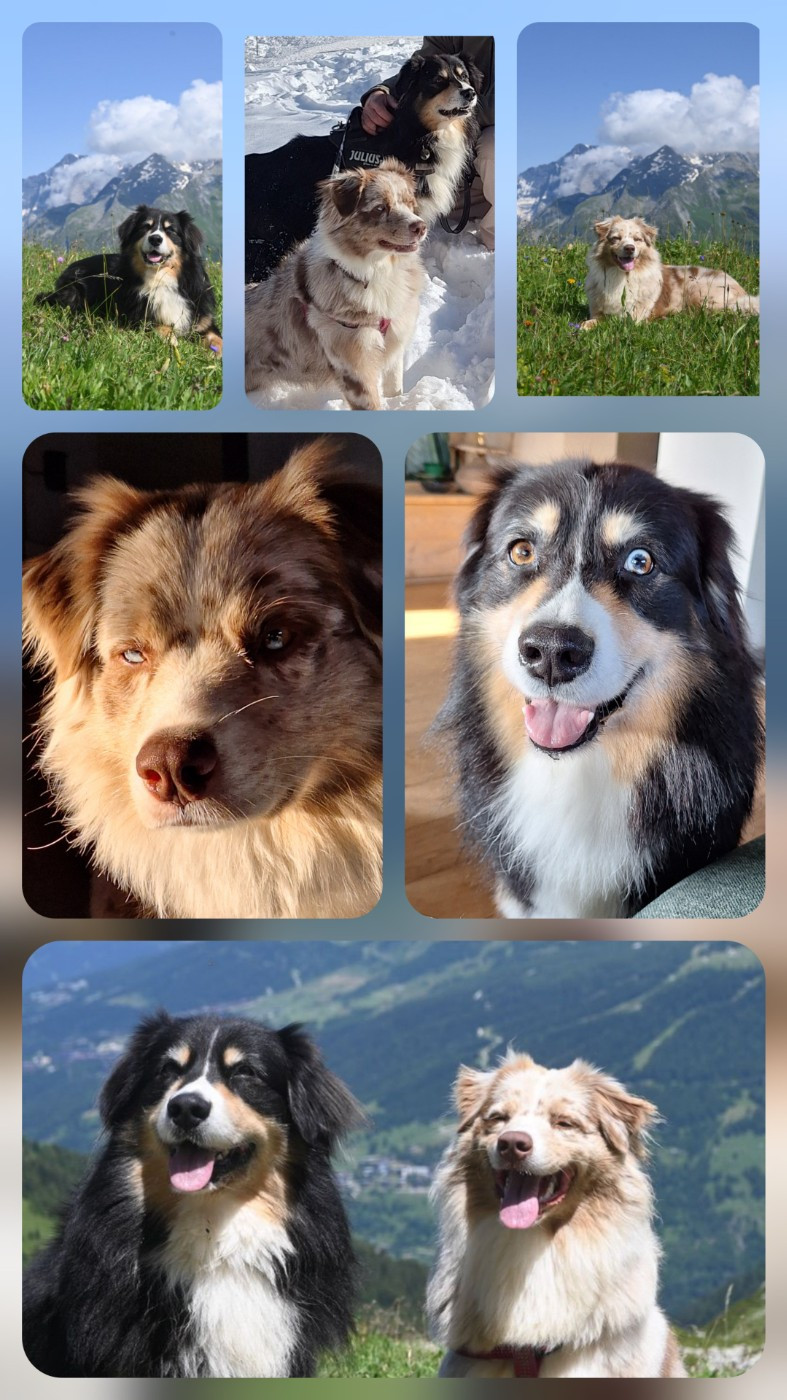 PORTEE PREVUE FIN MARS 2026